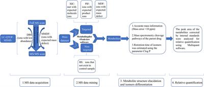 Identification of the main flavonoids of Abelmoschus manihot (L.) medik and their metabolites in the treatment of diabetic nephropathy